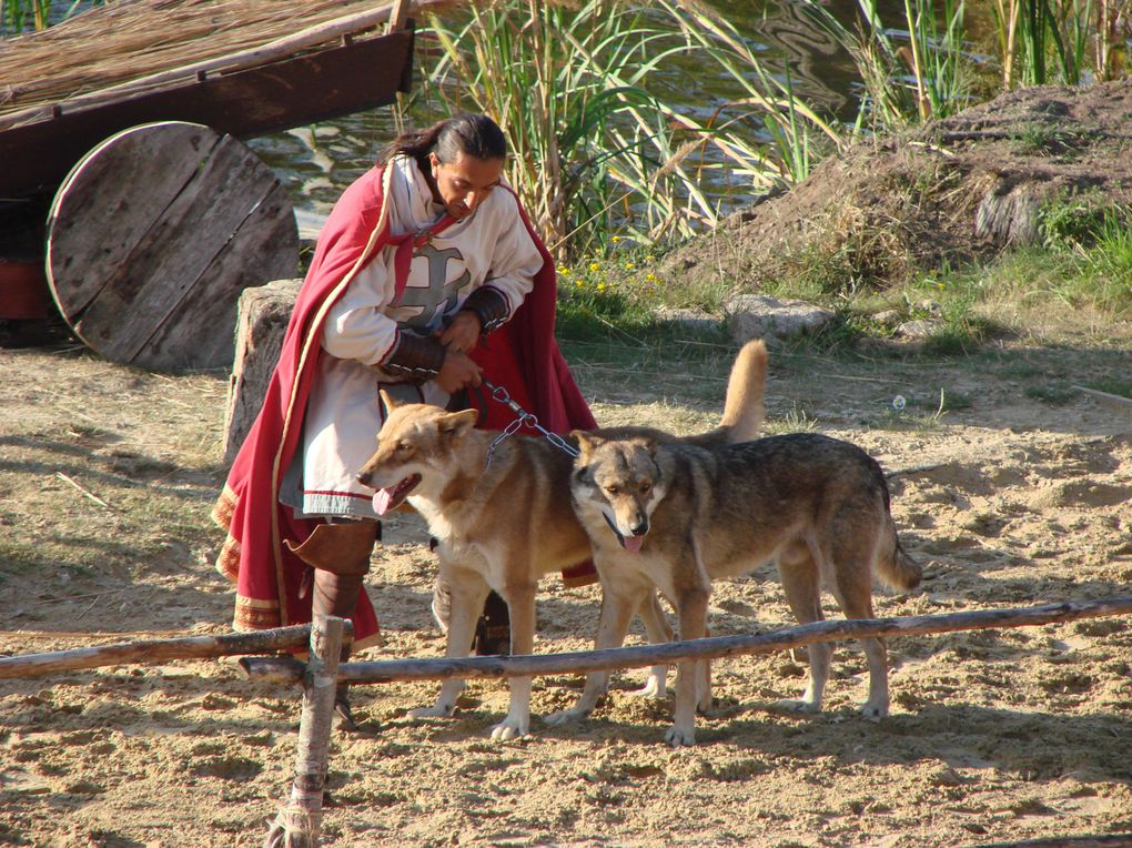 photos du puy du fou, le bal des oiseaux fantômes, mousquetaire du richelieu, vikings et le fort de lan mil, la cité médievale, la vallée fleurie...