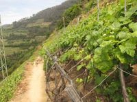 1. Corniglia 2.3.4 Manarola 5. Éboulement du sol sur le sentier 6. 7 Chemin pour Corniglia 8. Train de vendange. 