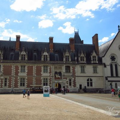 Blois et son château