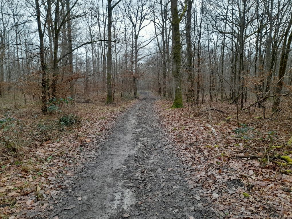 Sortie journée du jeudi 25 janvier 2024 Val-Saint-Germain