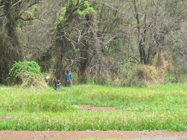 mare aux hippopotames dans la forêt au cœur de la réserve mondiale de Bala à 66 kilomètres au Nord-Ouest de Bobo-Dioulasso et à 25 Kilomètres du chef de lieu du département de Satiri