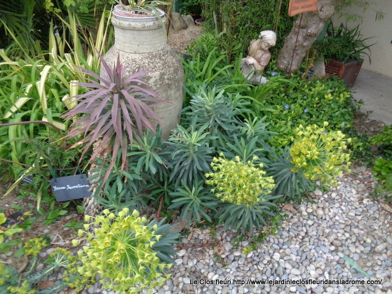 Mon jardin Le Clos fleuri en avril ......