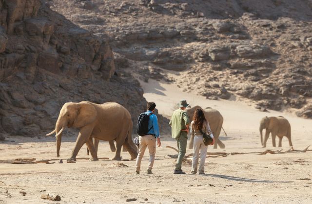 Deuxième numéro du rendez-vous Instinct animal, ce mardi sur France 2 : une expérience bouleversante pour Gil Alma.