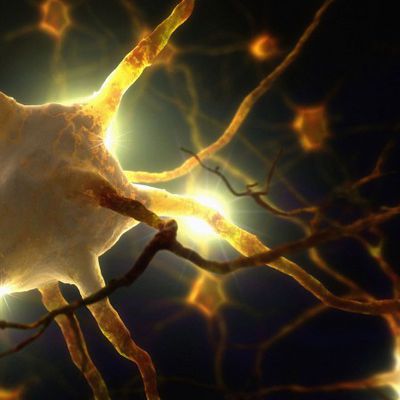 Des scientifiques découvrent des biophotons dans le cerveau qui pourraient laisser entendre que notre conscience est directement liée à la lumière !