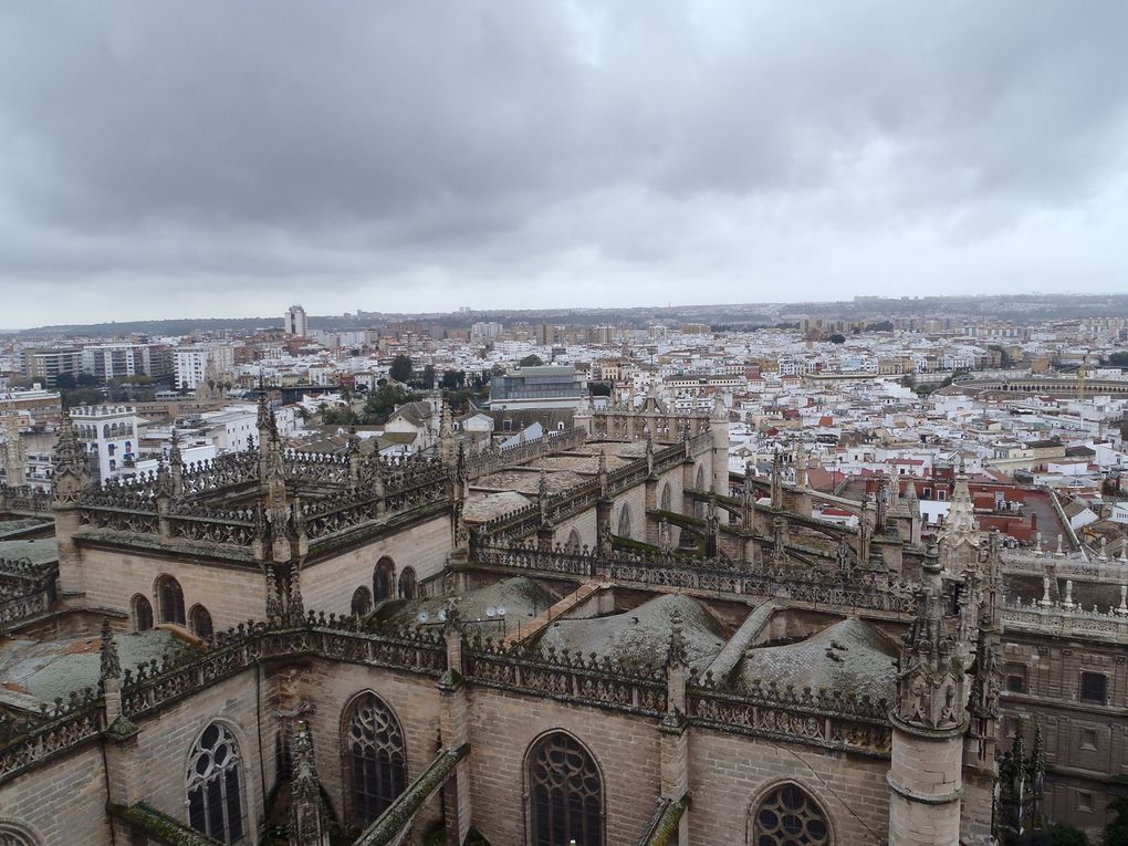 seville,4 jours pass'e là bas.Surment une ds plu beles viles que j'ai visité,où que l'on pose les yeux on en prend plein la vue.Le climat etait meilleur,ben qu'humide, ce qui m'aura permis de profiter de la ville au maximum.