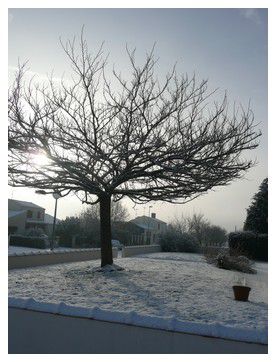 la Vendée sous la neige !... incroyable !