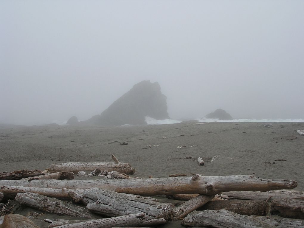 De Seattle (Etat de Washington à Crescent City (Californie), sur  une distance de 1000 kms, la côte oregonnaise offre un paysage magnifique, sauvage et grandiose où souffle l'esprit des peuples premiers, les indiens d'Amérique du Nord.