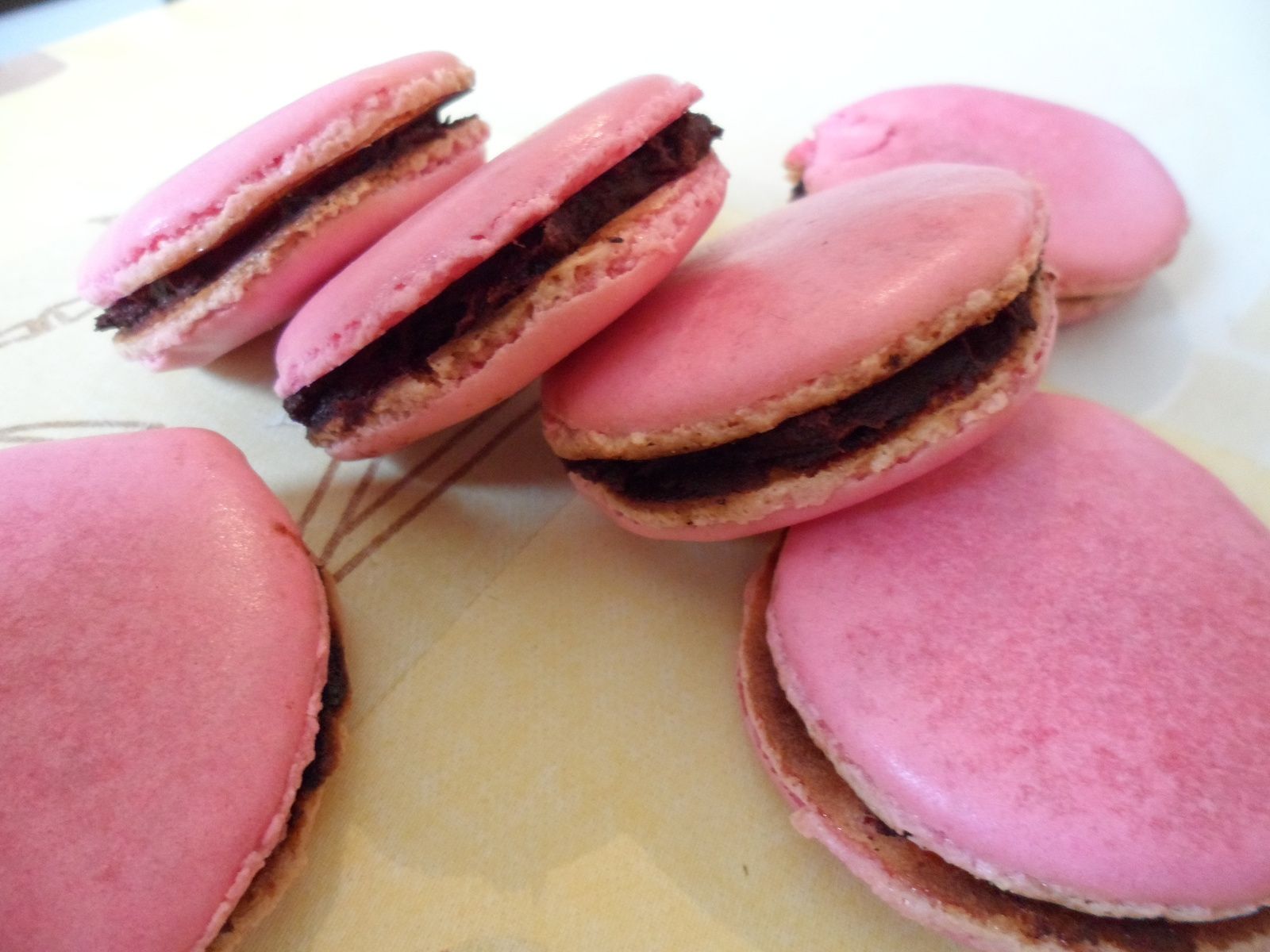 Macaron chocolat framboise