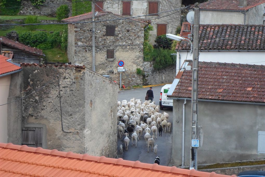 Vacances en ariège (1)