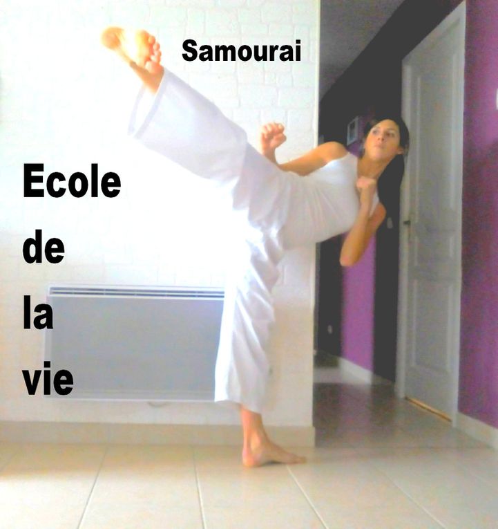 SENSEI LIONEL LEFORT - ECOLE DE LA VIE 