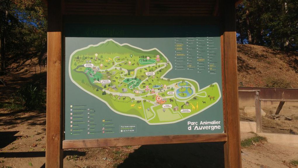 Visite du parc animalier d'Auvergne
