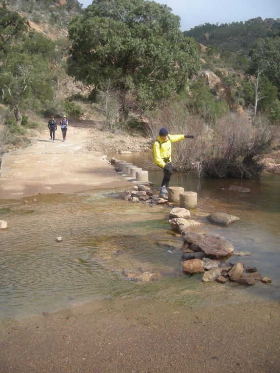 Album - Trail-off-de-l-Esterel-7-mars-2010