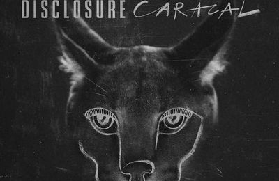 DISCLOSURE ·CARACAL (DELUXE)·