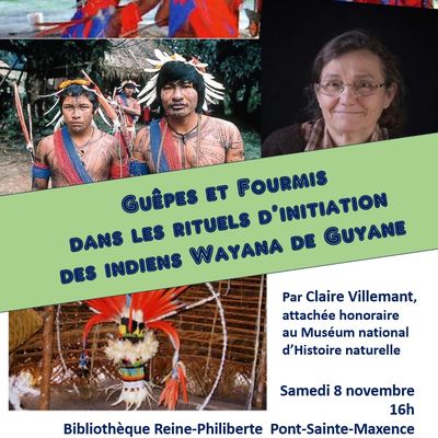 Guêpes et fourmis dans les rituels des Indiens Wayana de Guyane