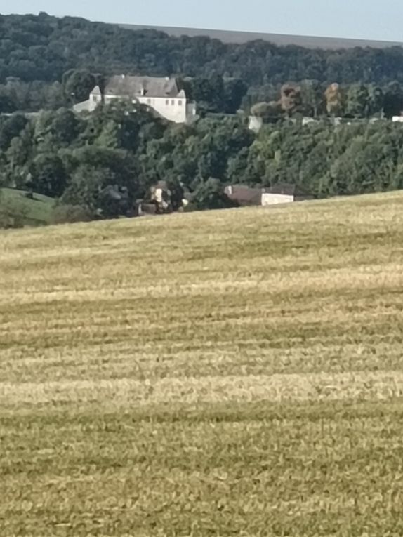 Marche secteur de Neufchateau du 10 Octobre 2023