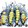 Les termites : de redoutables ennemis pour les bâtiments