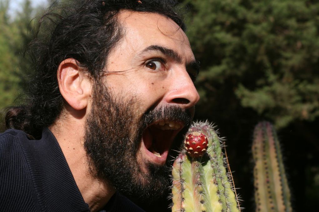 De géants cactus au jardin botanique de Las Palmas...