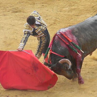 Trophée à la Pureté (Corrida concours de VIC dimanche 9 juin, 11h)