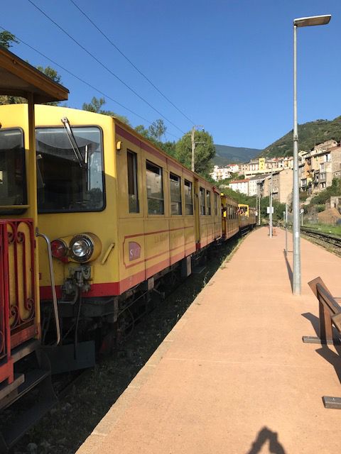 Samedi 22 Juillet: Descente du Train Jaune