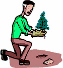 Comment planter un arbre quand on vit en ville