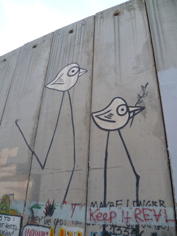 Israël et les Territoires Palestiniens, de Tel-Aviv à Hebron, en passant par Jérusalem.