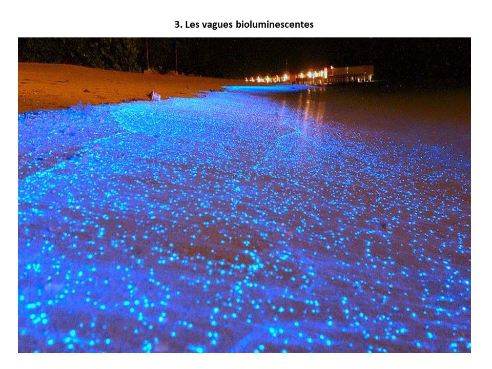 Divers - Phénomènes naturels