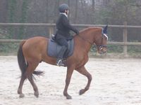 3ième étape du Challenge: dressage au St Eynard