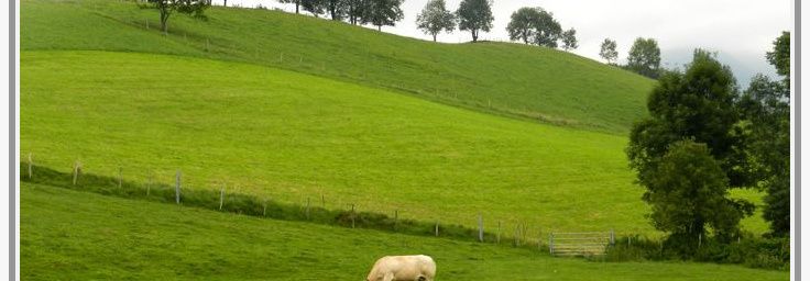 A Plateau du Benou