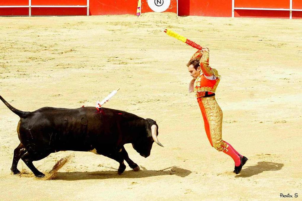 BOUJAN SUR LIBRON. TOROS Y CAMPO. 1er et 2 JUILLET (Acte 2- 11h)