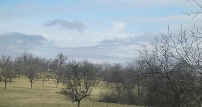 <P>Je considère peut-être que c'est "mort" de vivre dans cette région, néanmoins, je ne peux qu'admettre combien les paysages sont somptueux.</P>
<P>Voici quelques photos de la région, pas forcément bien cadrée puisque prises à l'aveugle en voiture.</P>