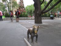 Fédération square