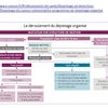 SEMIOLOGIE INTESTINALE. Suite avec Le cancer colo-rectal 