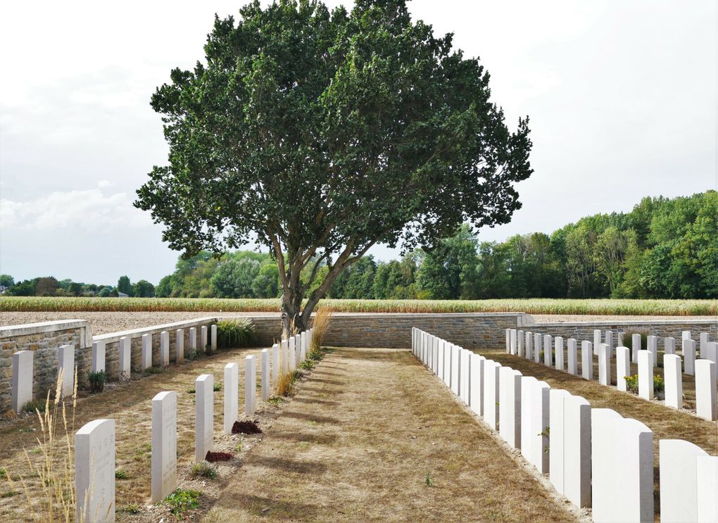 Ce sont de pauvres pékins, seulement des numéros, que les Alliés sont allés chercher en Asie pour qu'ils servent non pas de chair à canon, mais de main d'oeuvre à tout faire, derrière le front en 1914-1918. Beaucoup sont morts sur place, de fatigue, de maladie 