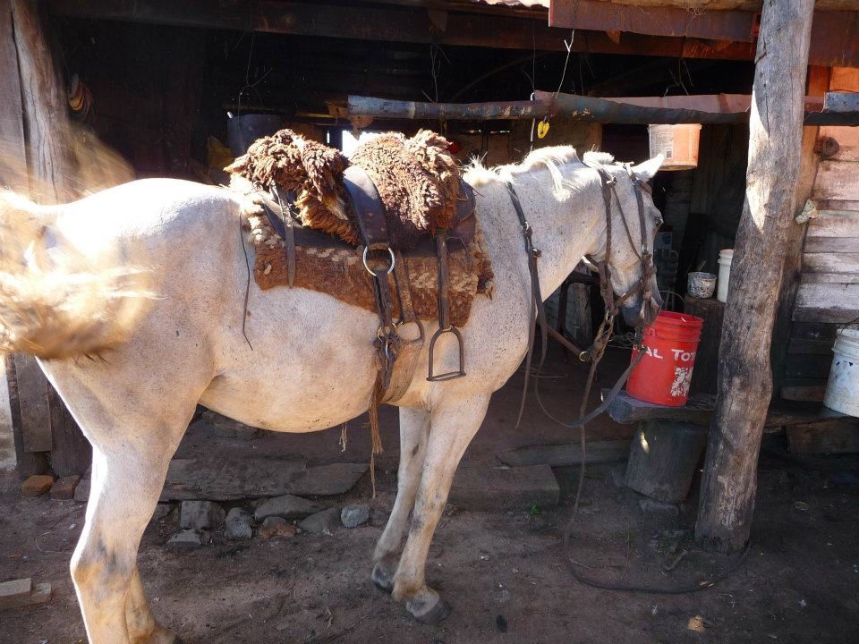 Album - Argentine-de-la-quiaca-a-Buenos-Aires