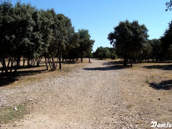 Deuxième album consacré à mes voyages en la France