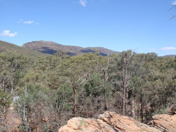 Album - Flinders-Ranges