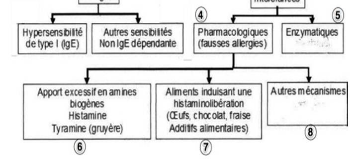 ALIMENTS PROVOQUANT DES REACTIONS  IMMUNITAIRES (INFLAMMATIONS, DERMITE SEBORRHEIQUE, REFLUX ACIDE, TENDINITES…) Et TESTS ALLERGIES. Analysez, comparez, concluez. Améliorez votre santé.