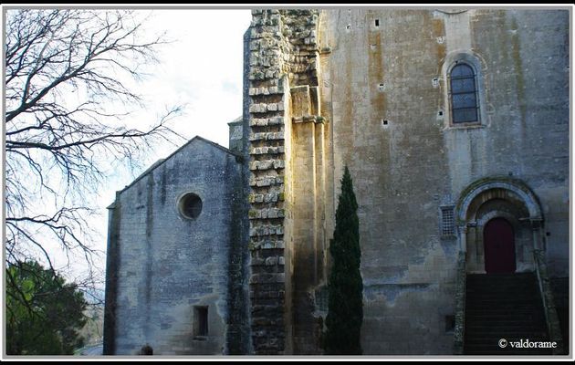Arles abbaye de Montmajour