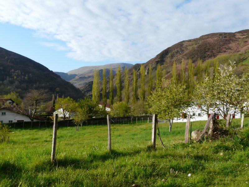 Album - Pays-Basque