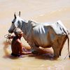 Album - CAMBODGE-7-KOCH-DACH-PORTRAITS