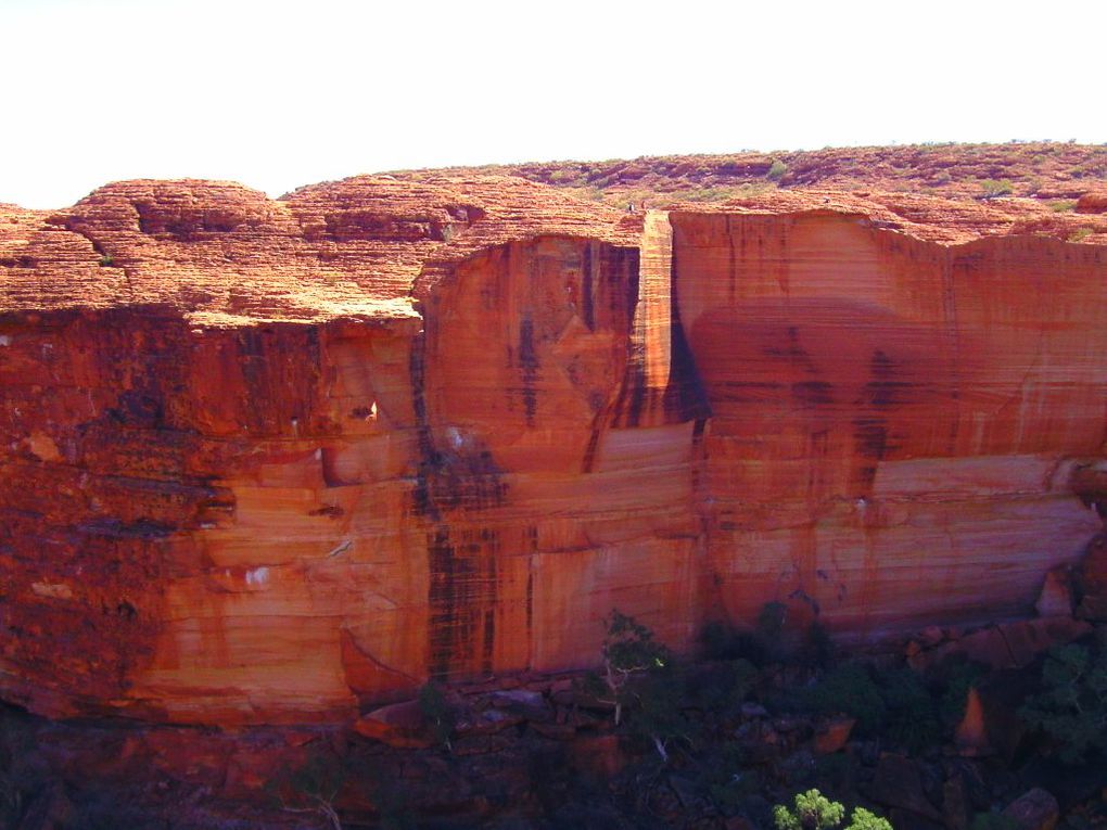 Album - The-Ultimate-Oz-Experience-2--Outback--The-Olgas---Ayers-Rock---Kings Canyon