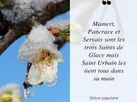 Les Saints de glace arrivent!! 