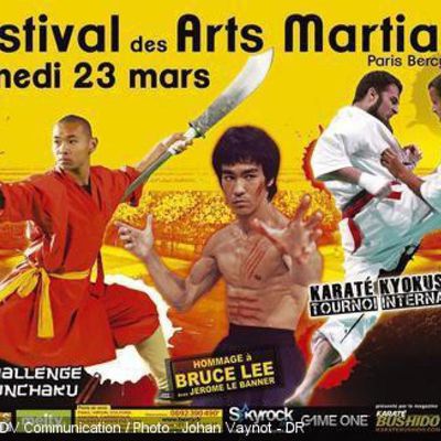 Festival des arts martiaux 2013