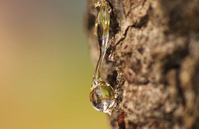 Un peu d'eau