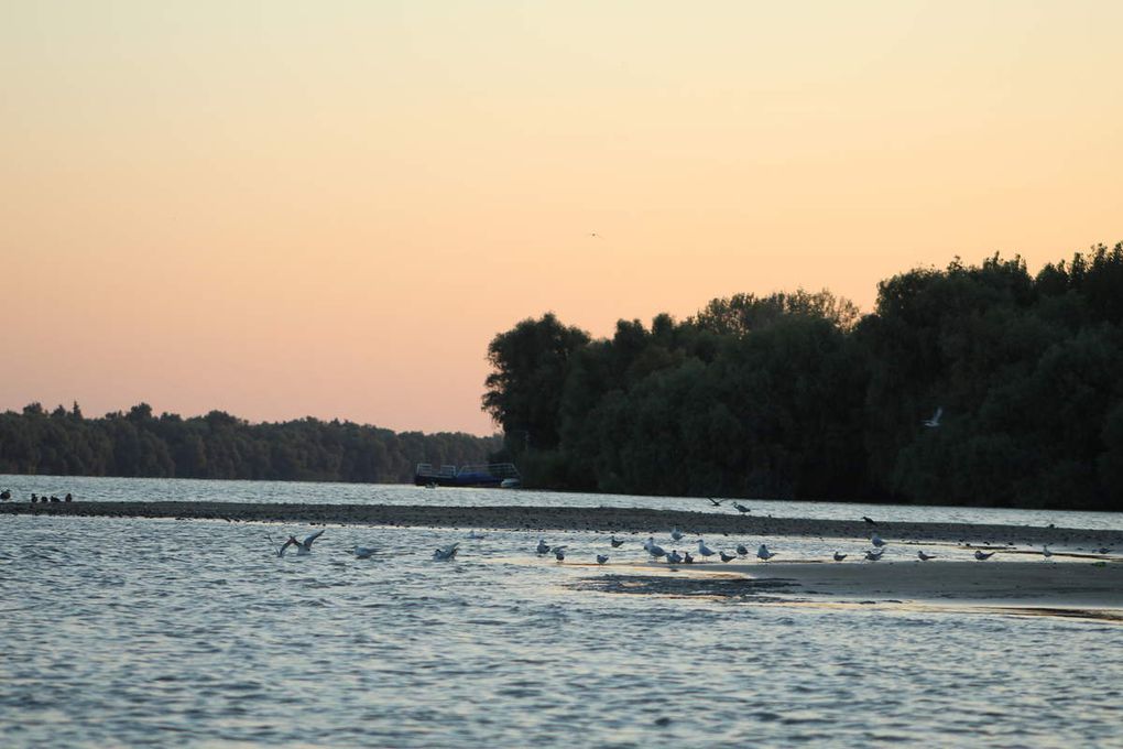 Voyage été 2018 - Roumanie - 3 - Le Delta du danube