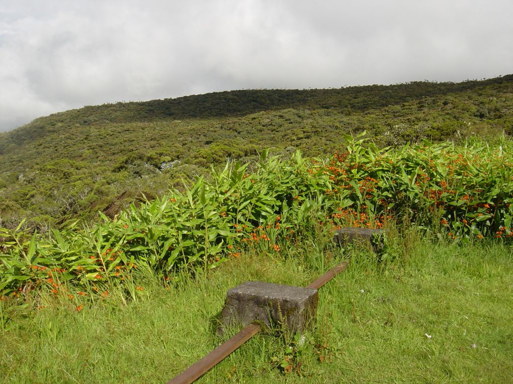 Album - Cirque-de-Salazie