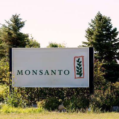 Après leur fusion, Bayer annonce la suppression de la marque Monsanto