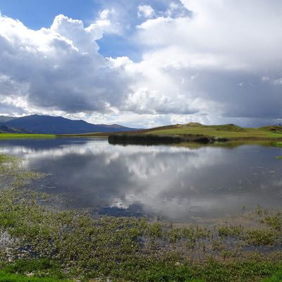 Lac Willcacocha : balade sympa dans la Cordillère noire