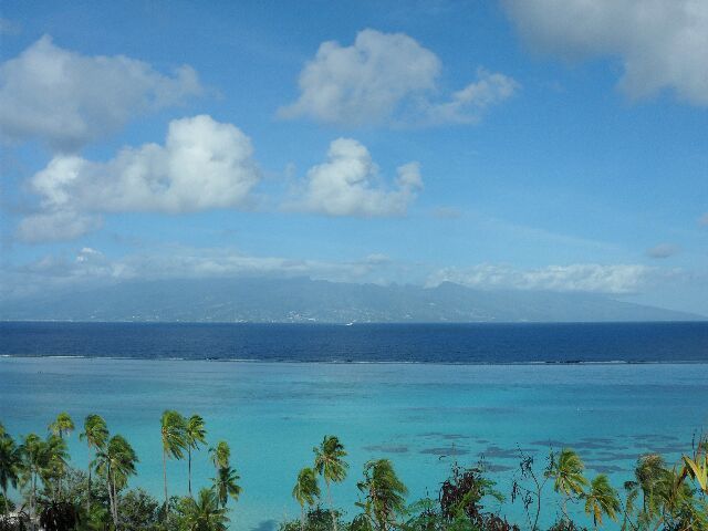 Album - MOOREA-1