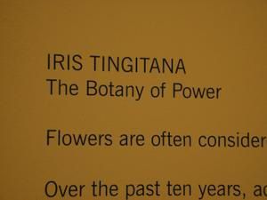 Biennale de Venise: la botanique du pouvoir